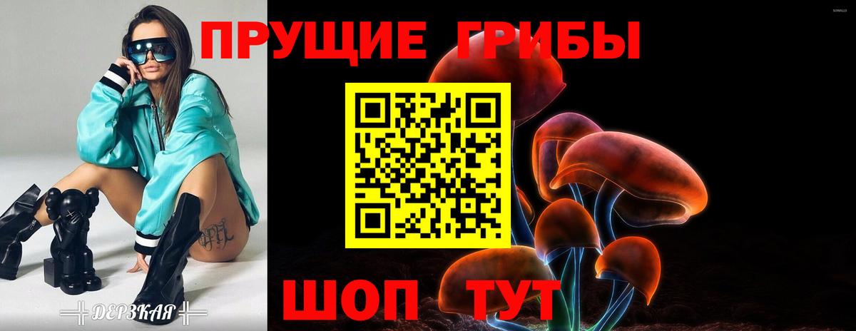 Псилоцибиновые грибы ЛСД  цены   Псилоцибиновые грибы мухоморы  Краснокаменск  Вход с VPN 